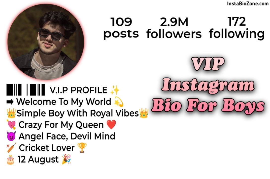 VIP Instagram Bio For Boys